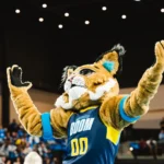 Noblesville Boom Mascot Bobby The Bobcat Named 2025 Holiday In Lights Parade Grand Marshal 1 Bobby the bobcat photo credit matthew doudt photography